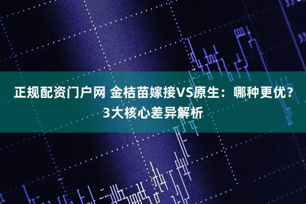 正规配资门户网 金桔苗嫁接VS原生：哪种更优？3大核心差异解析